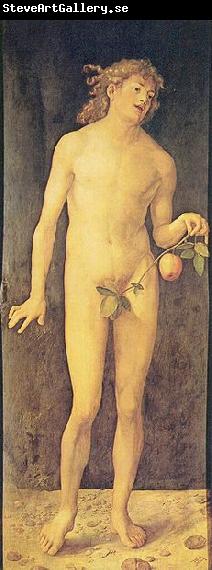 Albrecht Durer Adam